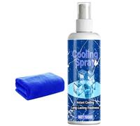Cooling Body Spray 100 ml Instant Summer Ice Heat Relief Mistry