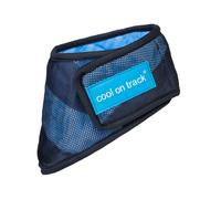 Cooling dog bandana Back on Track Cool