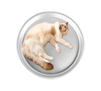 Cooling Dog Bed, 39.9 cm Aluminium Cooling Bed for Pets, Washable, Non-Slip, Portable, Forestry, Summer, Travel, Indoor