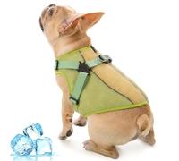 Cooling Harness for Dogs, Puppy Cooling Jacket Lightweight Walking Gear Keeps Pets Cool in Hot Weather, Fully Adjustable, All-In-One for Summer(Green, S)