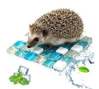 Cooling Mat for Cats Rabbits, Reusable Small Pet Ice Pad Summer Bed