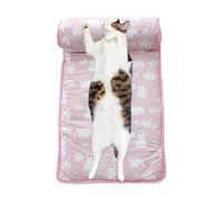 Cooling Mat for Dogs Breathable Ice Cushion Cooling Mat with Anti-Slip Bottom and Pillow | Washable Cooling Pads Blanket Sleeping Kennel Mat for Dogs Cats