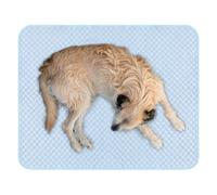 Cooling Mat for Dogs - S/M/L, Various Sizes, Cool Fabric Blanket | Balanced Heat Dissipation, Skin-Friendly, Washable Pad - Soft Summer Cooling Mat | Pet Cooling Bed - Travel Accessories