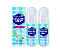 Cooling Mist Spray for Hot Weather, Summer Cooling Spray for Face and Body, Instant Relief for Heat Stroke, Natural Mint Cooling Water for Skin and Clothes, Portable Travel Size (2)
