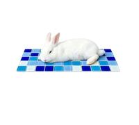 Cooling Pad Mat Instant Heat Relief Wipe-Clean Reusable Waterproof Scratch-Resistant Non-Slip Bottom For Chinchillas Dwarf Bunny Ferrets Hedgehog Mice Lemmings
