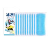 Cooling Patches for Hot Weather - Instant Cool Pack Strips, Skin-Friendly Gel Design, 10PCS Set | Portable Relief Pads with Long-Lasting Effect Forehead Neck Hands During Outdoor Heat or Travel