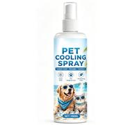 Cooling Spray for Hot Summer Days 100 ml Instant Refreshing and Long-Lasting