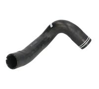 Cooling system hose DCF052TT THERMOTEC for FIAT FIORINO Box Body/MPV QUBO
