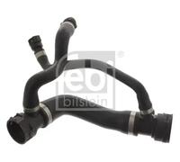 FEBI BILSTEIN 45817 Radiator hose