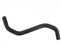 FAST FT61974 Radiator hose