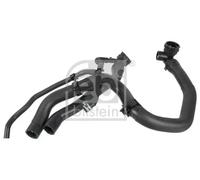 FEBI BILSTEIN 179893 Radiator hose