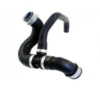 FAST FT61615 Radiator hose