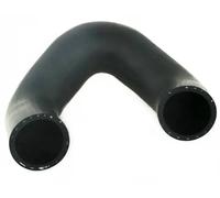 FAST FT61660 Radiator hose