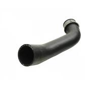 FAST FT61876 Radiator hose