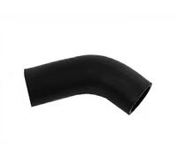 FAST FT61969 Radiator hose