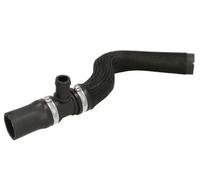 Cooling system hose Lower DWF148TT THERMOTEC for FIAT DOBLO MPV