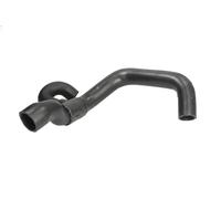 Cooling system hose Lower DWG059TT THERMOTEC for FORD ESCORT Mk VI ORION III