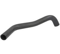 Cooling system hose Lower DWM060TT THERMOTEC for MERCEDES-BENZ /8 123 Saloon