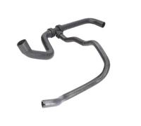 Cooling system hose Lower DWR174TT THERMOTEC for DACIA DUSTER DUSTER SUV Van