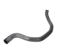 THERMOTEC DWV002TT Radiator hose