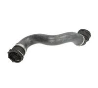 THERMOTEC DWX148TT Radiator hose