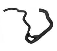 SASIC 3406253 Radiator hose