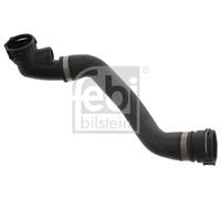 FEBI BILSTEIN 45815 Radiator hose