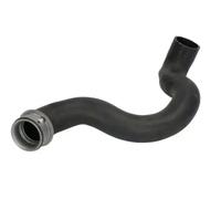Cooling system hose Lower Right Rubber DWM018TT THERMOTEC for MERCEDES-BENZ