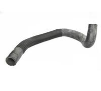 THERMOTEC DWC120TT Radiator hose