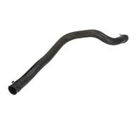 THERMOTEC DWV004TT Radiator hose