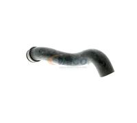 VAICO V30-1656 Radiator hose