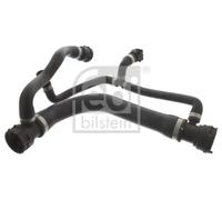 FEBI BILSTEIN 45819 Radiator hose