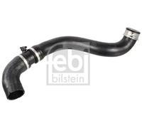 FEBI BILSTEIN 172431 Radiator hose