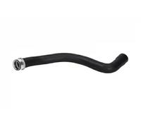 Cooling system hose Upper 222547 ORIGINAL IMPERIUM for MERCEDES-BENZ C-CLASS