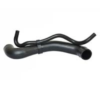 FAST FT61542 Radiator hose