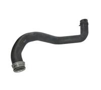 THERMOTEC DWM116TT Radiator hose