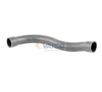 VAICO V20-1750 Radiator hose