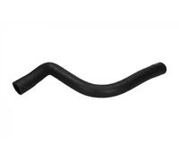 ORIGINAL IMPERIUM 222005 Radiator hose