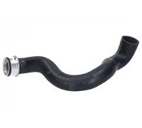 Cooling system hose Upper Right 222604 ORIGINAL IMPERIUM for MERCEDES-BENZ