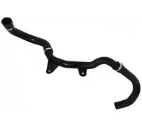 SASIC 3400055 Radiator hose