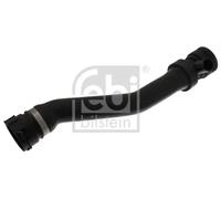 FEBI BILSTEIN 36839 Radiator hose