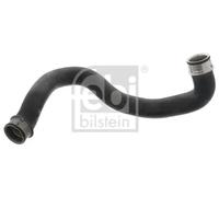 FEBI BILSTEIN 46428 Radiator hose