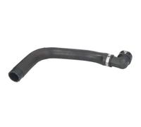 Cooling system hose Upper Rubber DWF243TT THERMOTEC for FIAT DOBLO MPV