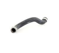 VAICO V30-2229 Radiator hose