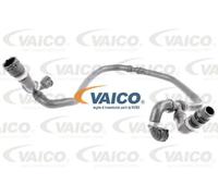 VAICO V20-1304 Radiator hose