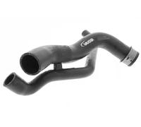 VAICO V30-1769 Radiator hose