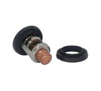 Cooling System Thermostat Outboard Motor Assembly 140℉ / 60℃ Fit For 8 9.9 15 20 25 30 40 50 60 75 90 100 200 225 HP