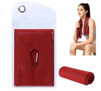 Cooling Towel,30CM Multi-Purpose Breathable Instant Quick Drying Ice Cool Microfibre Towel with Carabiner for Sports, Travel & Outdoor, 2026 Summer Cool Towels With Bag For Extreme Heat (RDC)