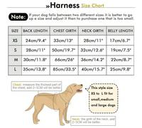 (Cooling Vest, XS?old?) Dog Summer Cooling Vest Cool Down Instantly Breathable Reusable Pet Cooling Coat Summer Clothes for Dog Outdoo Play Cooling Vest