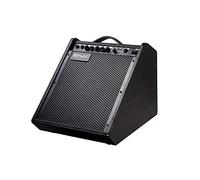 Coolmusic Electric Drum AMP 100-Watt Electronic Drum Amplifier DM100 Keyboard Speaker with Wireless Audio Connection, with 3-Band EQ and DI Out Black